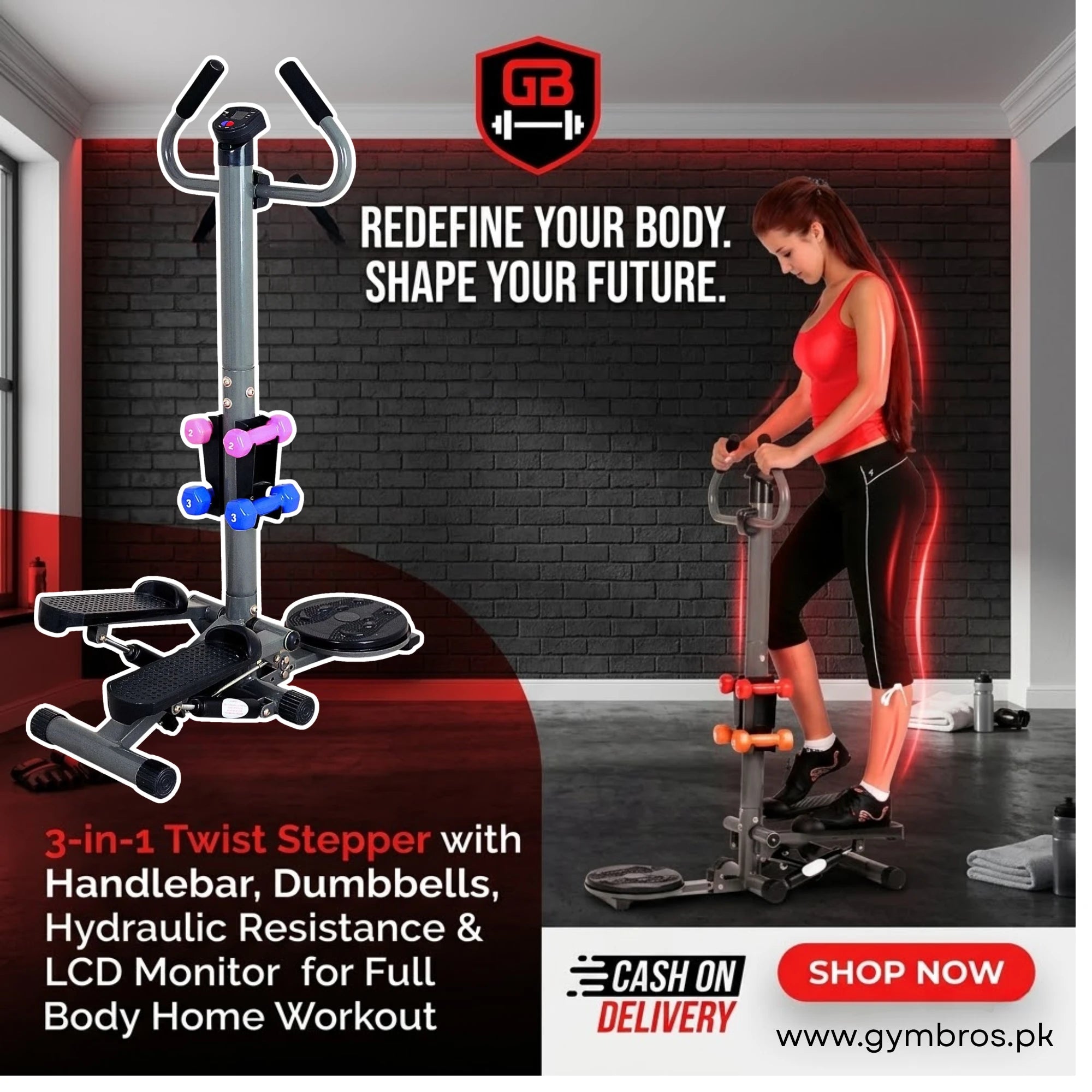 Standing Stepper with Twister and Dumbbells | 3-in-1 Twist Stepper wit