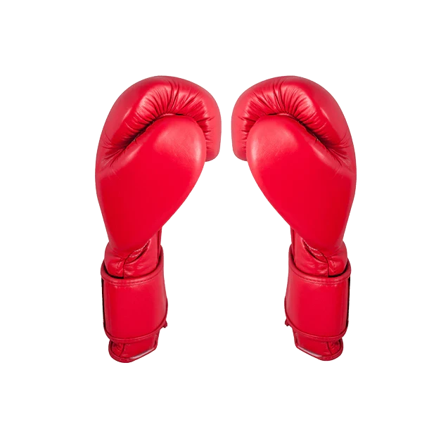 Professional Boxing Training Gloves